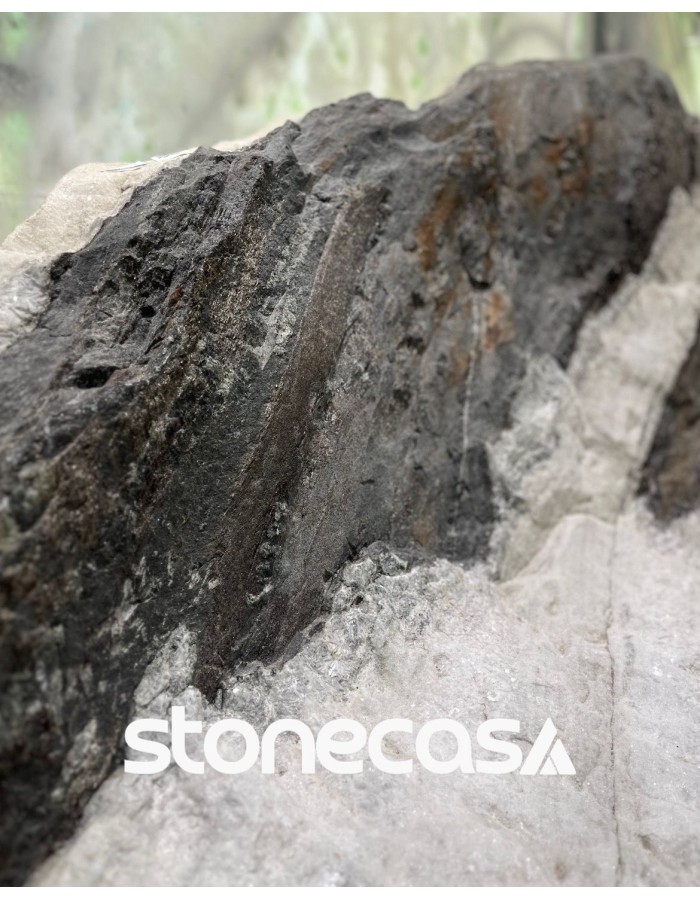 Neuroarquitetura e a Stone Casa