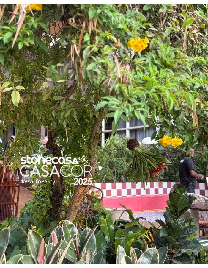 O Novo Mandamento da Arquitetura O Novo Mandamento da Arquitetura