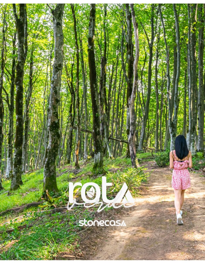 Pedra por Pedra Rastreamento e Sustentabilidade