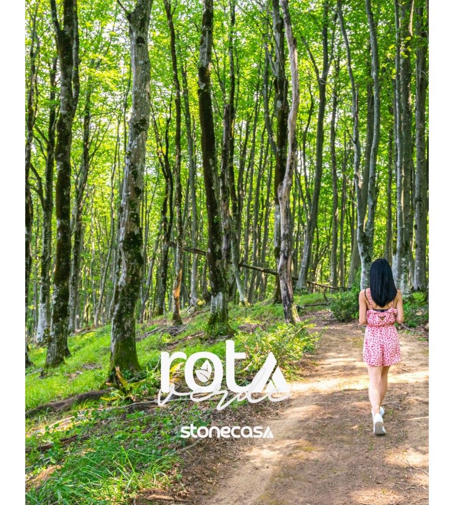 Pedra por Pedra Rastreamento e Sustentabilidade