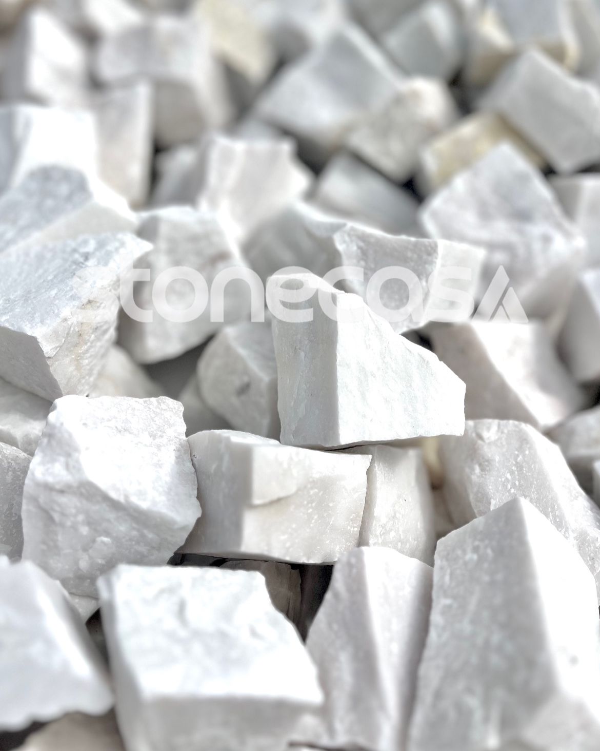 A Revolução Eco-Friendly em Pedras Decorativas | Blog Stone Casa revolucao-eco-friendly-em-pedras-decorativas