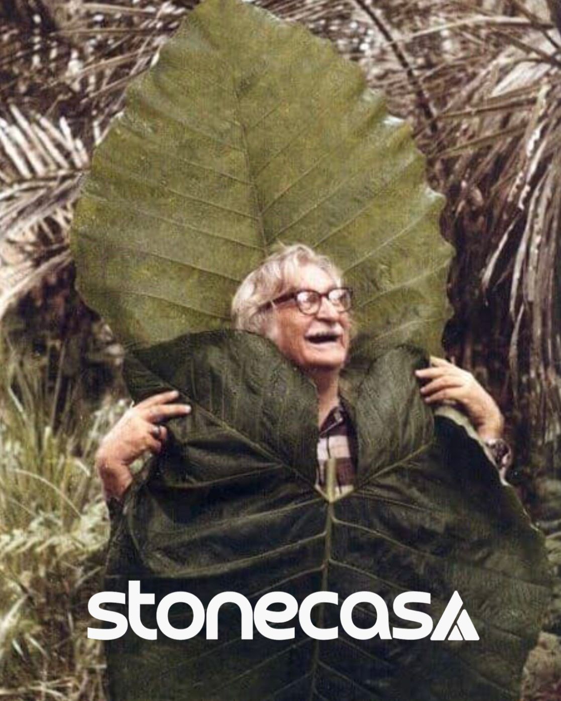 Burle Marx - O Gênio do Paisagismo e da Arte Brasileira Burle Marx - O Gênio do Paisagismo e da Arte Brasileira