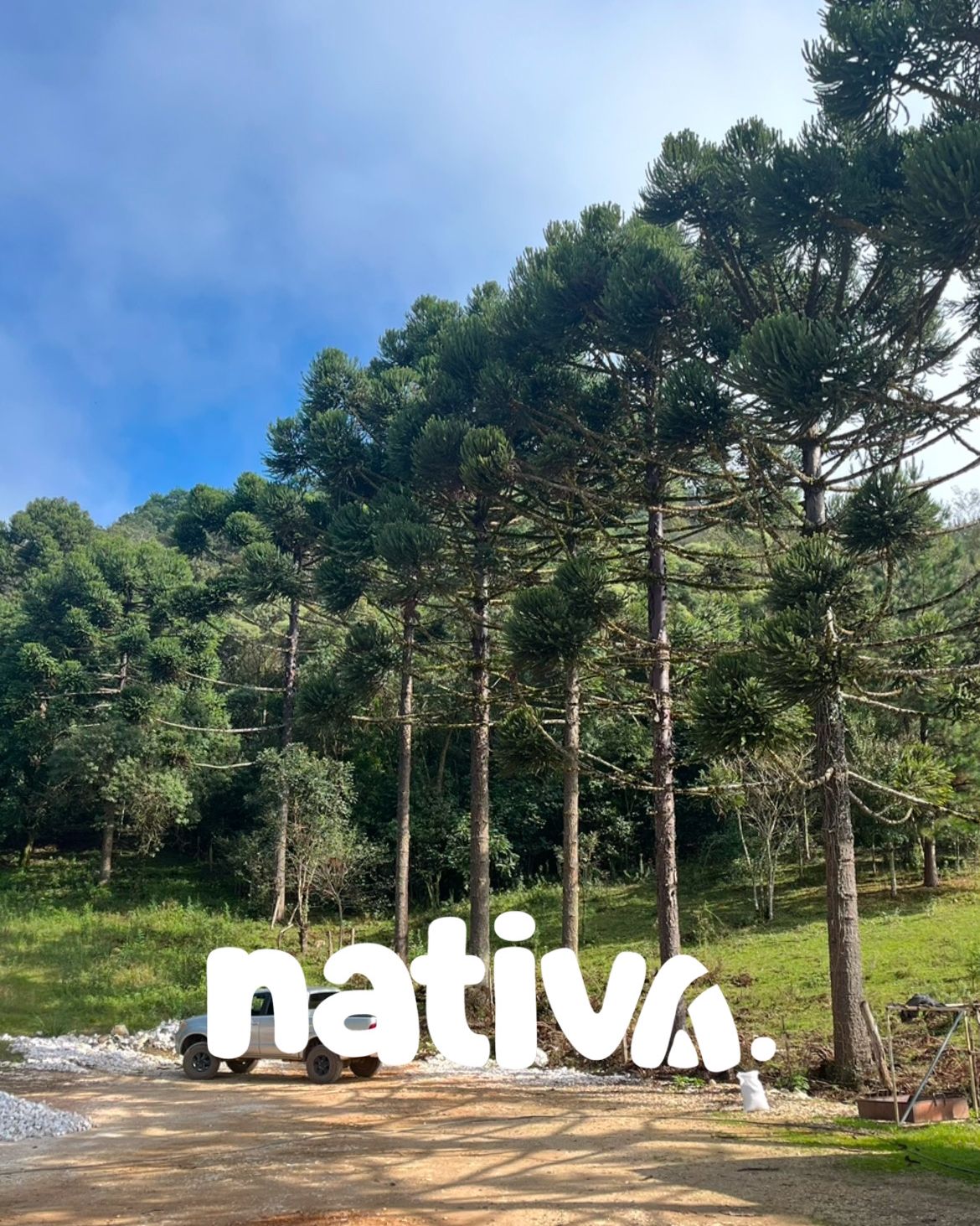 Faça Parte desta Revolução Eco-friendly da Stone Casa