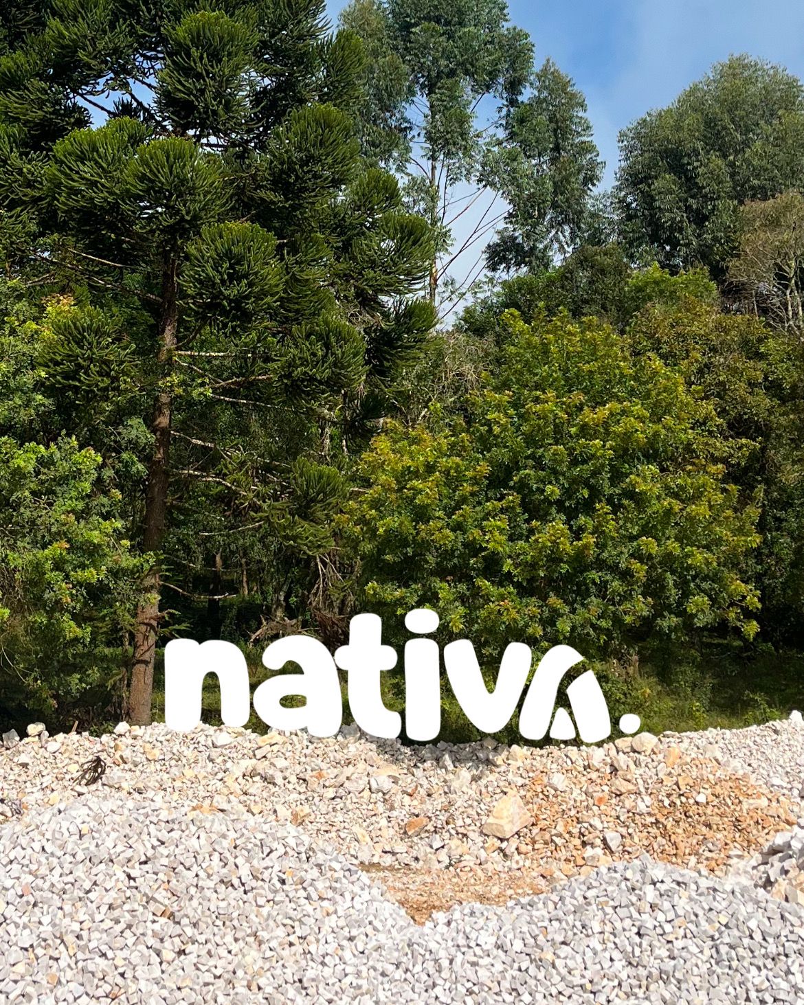 Pedra Portuguesa Eco-Friendly Coleção Nativa | Stone Casa pedra portuguesa coleção nativa eco friendly stone casa