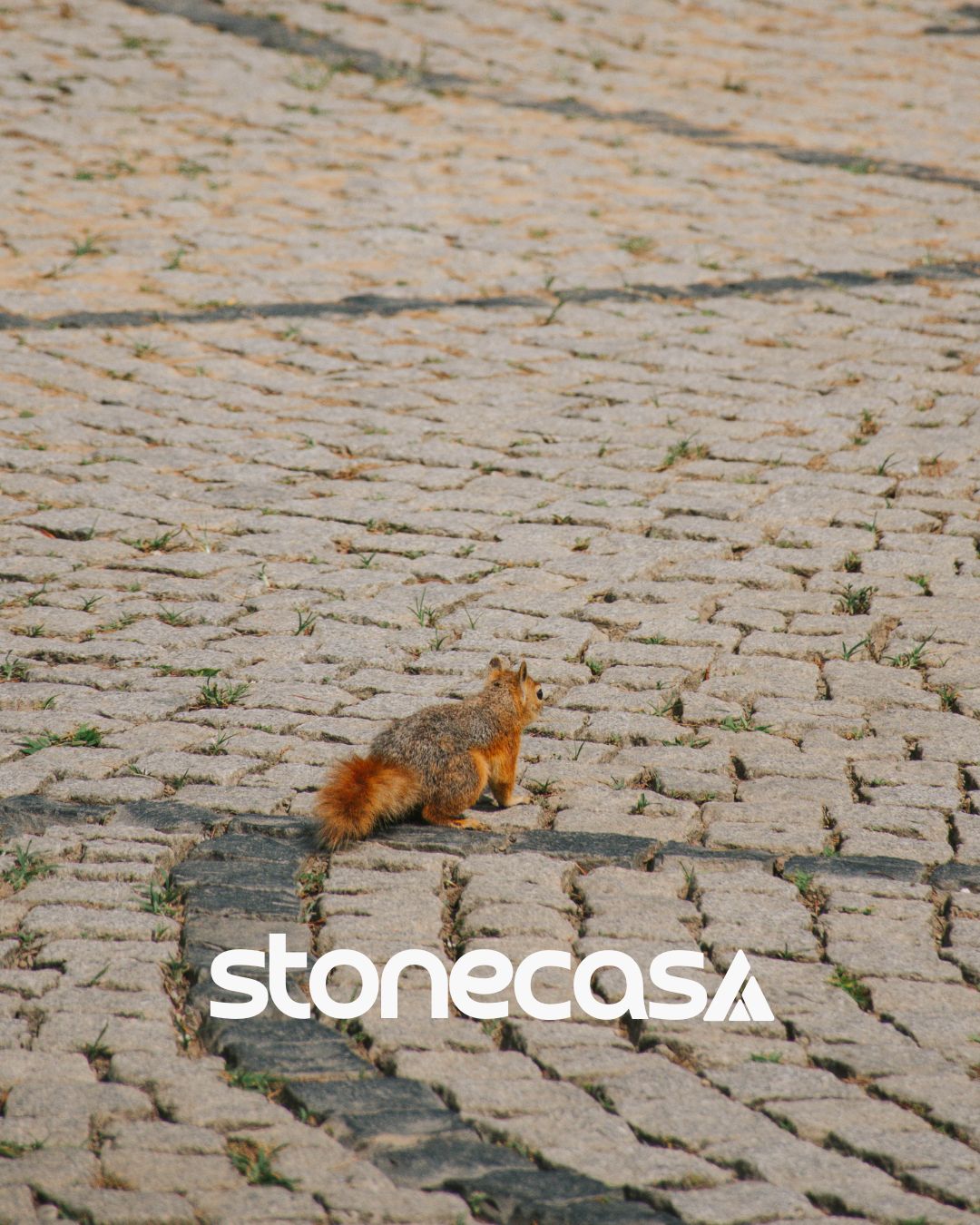 Pedra Macaquinho Alto Tráfego | Pedra Macaquinho Stone Casa® — Pedras Naturais Eco-Friendly Pedra Macaquinho Alto Tráfego — Pedra Macaquinho Stone Casa® eco-friendly