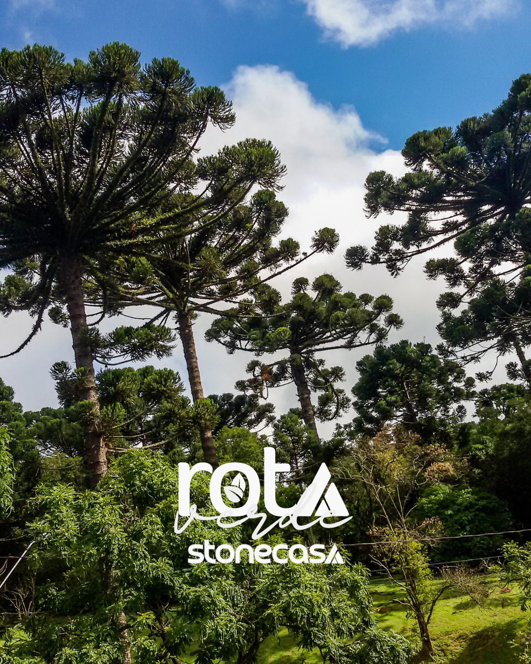 Programa Rota Verde Global | Rota Verde Stone Casa Stone Casa® — Pedras Naturais Eco-Friendly Programa Rota Verde Global — Rota Verde Stone Casa Stone Casa® eco-friendly