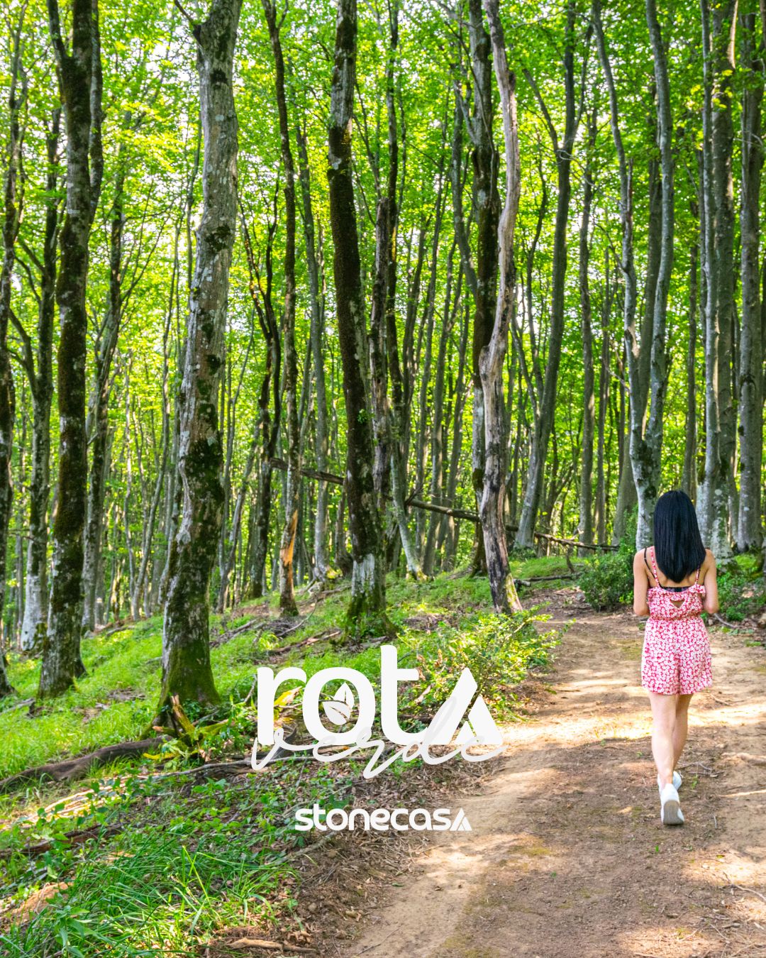 Pedra por Pedra Rastreamento e Sustentabilidade